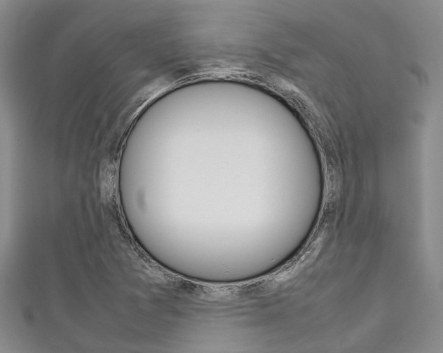 X0000111921361200907271001