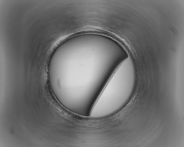 X0000111921363200907271001