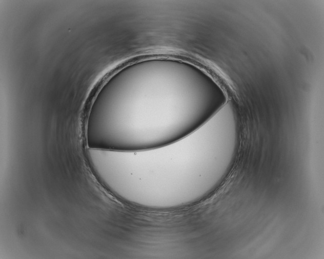 X0000111921364200907271001