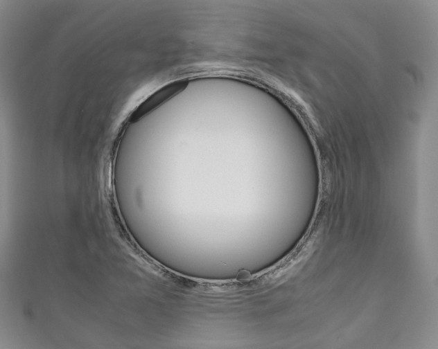 X0000111921365200907271000