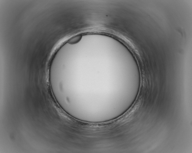 X0000111921366200907271000