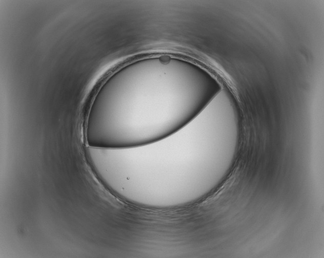X0000111921368200907271000