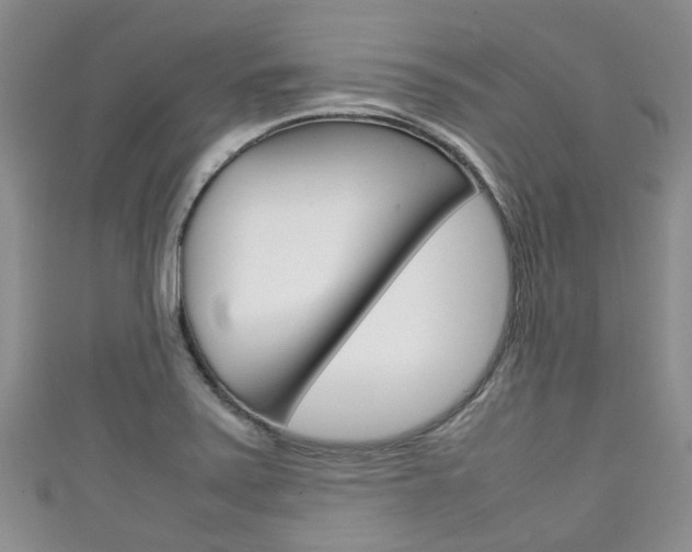 X0000111921371200907271000