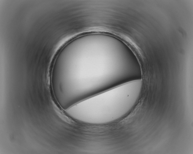 X0000111921372200907271000