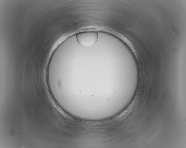 X0000111921373200907271000