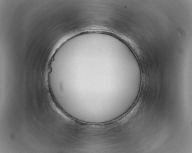 X0000111921374200907271000