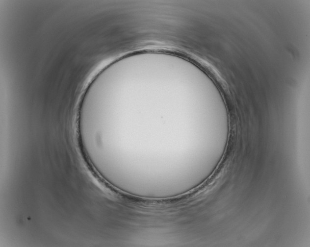 X0000111921375200907271000