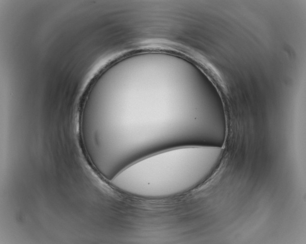 X0000111921376200907271000