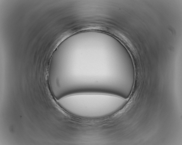 X0000111921377200907271000