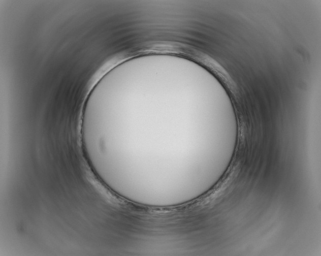X0000111921378200907271000