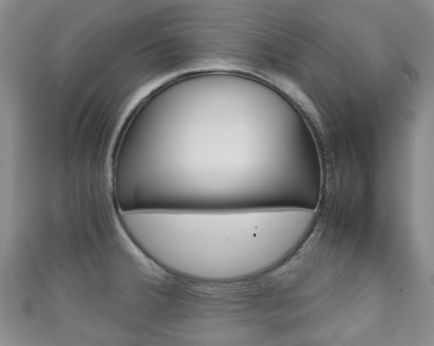 X0000111921380200907271000