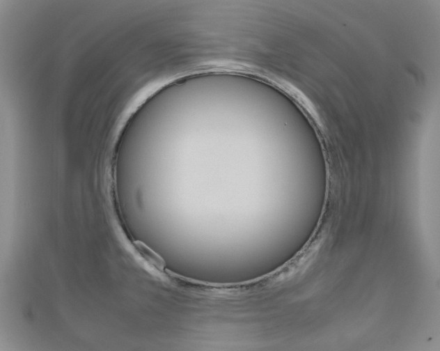 X0000111921381200907271000