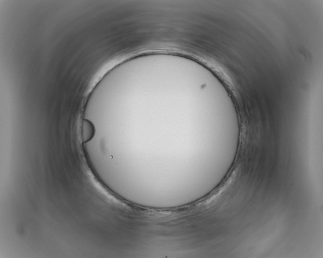 X0000111921382200907271000