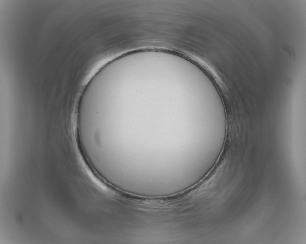 X0000111921383200907271000