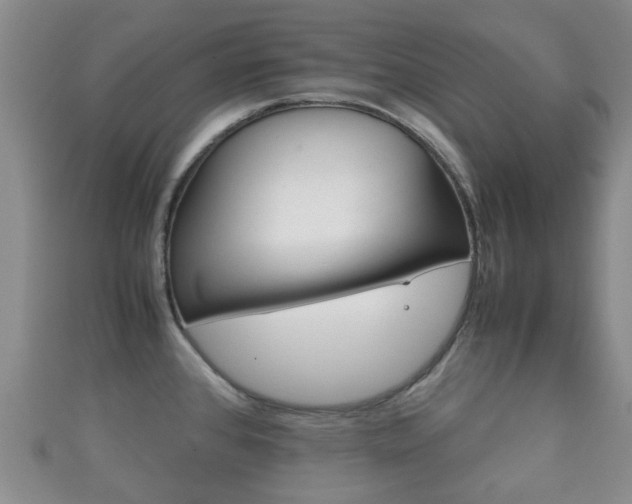 X0000111921384200907271000