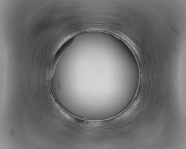 X0000111921385200907271000
