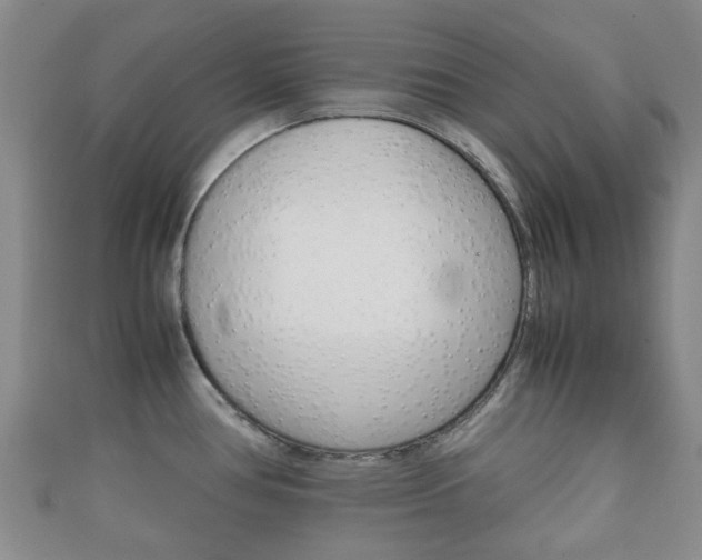 X0000111921386200907271000