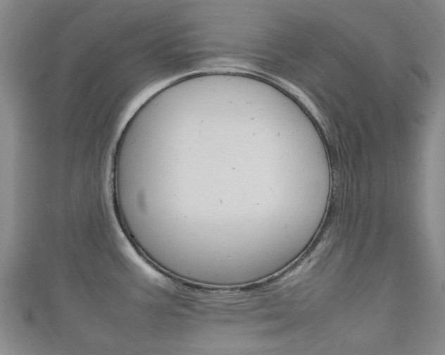 X0000111921387200907271000