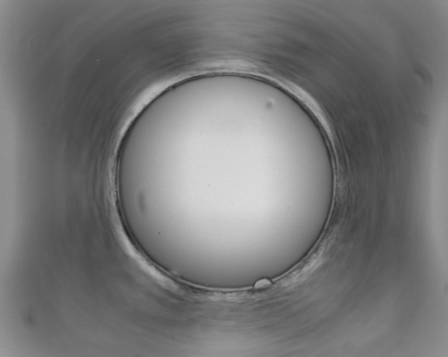 X0000111921389200907271000