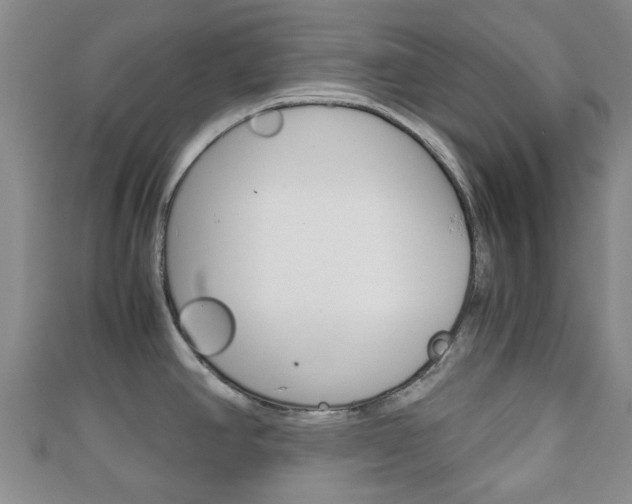 X0000111921390200907271000
