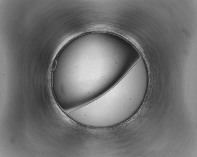 X0000111921392200907271000