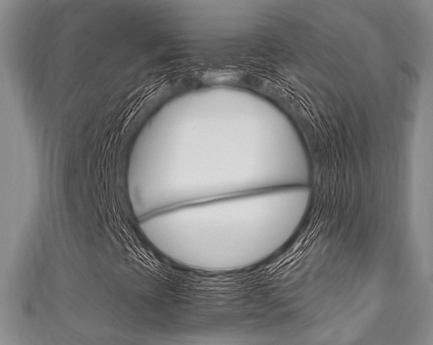 X0000111921393200907271000