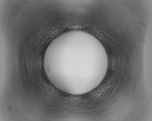 X0000111921394200907271000