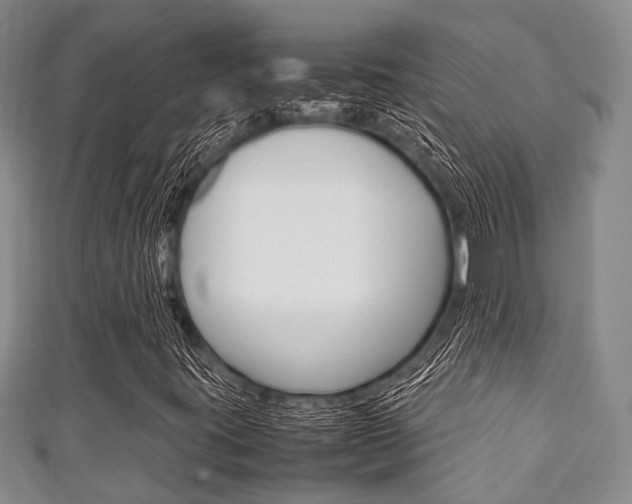 X0000111921395200907271000