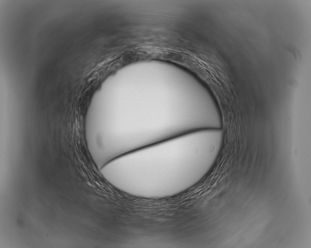 X0000111921397200907271000