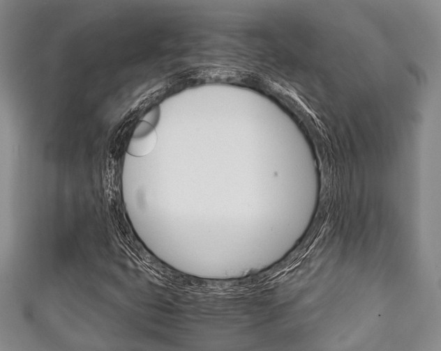 X0000111921399200907271000