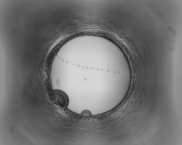 X0000111921400200907271000