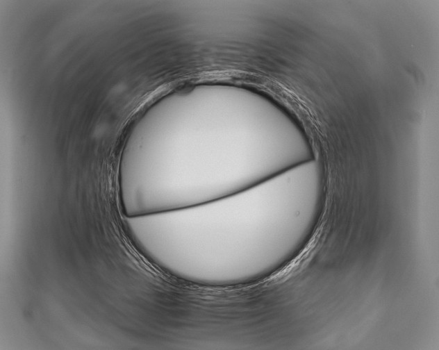 X0000111921401200907271000