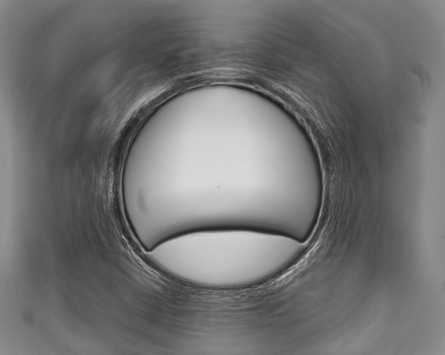 X0000111921402200907271000