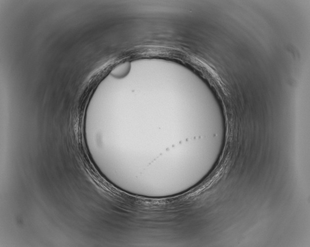 X0000111921403200907271000