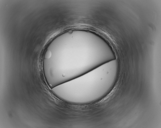 X0000111921405200907271000