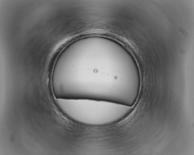 X0000111921406200907271000