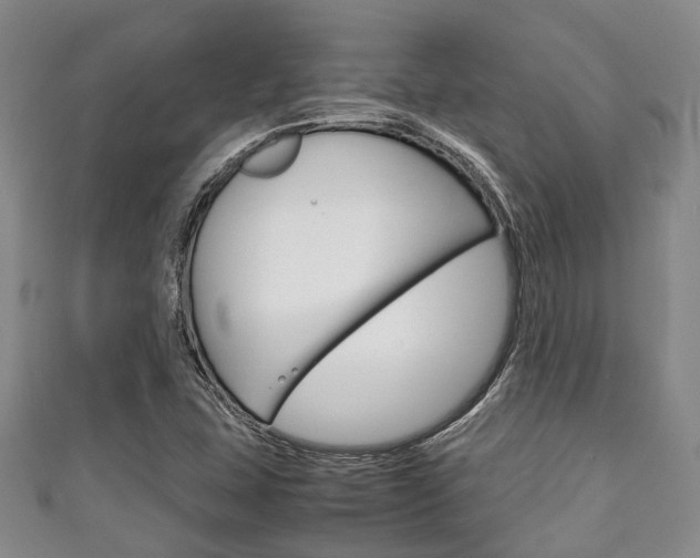 X0000111921407200907271000