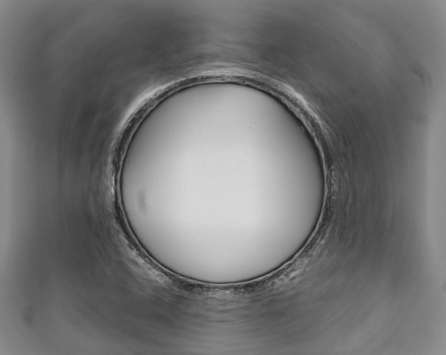 X0000111921408200907271000