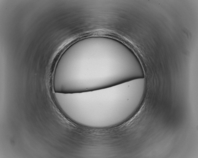 X0000111921410200907271000