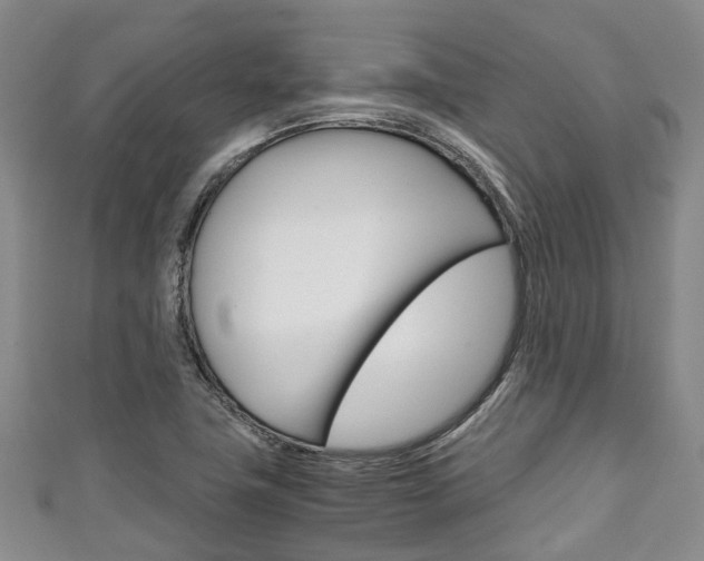 X0000111921411200907271000