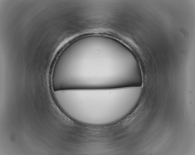 X0000111921412200907271000