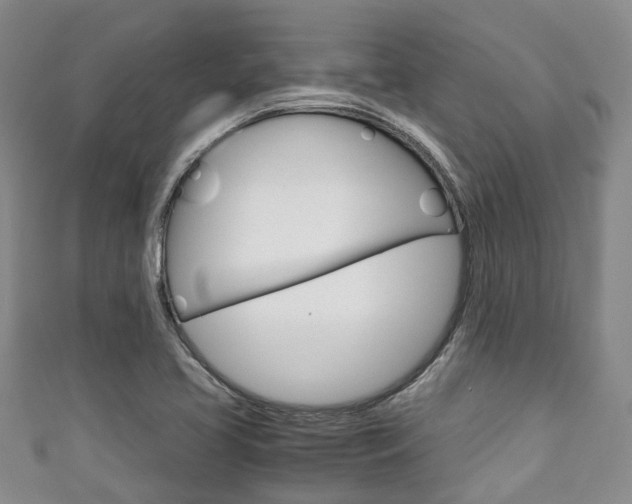 X0000111921413200907271000