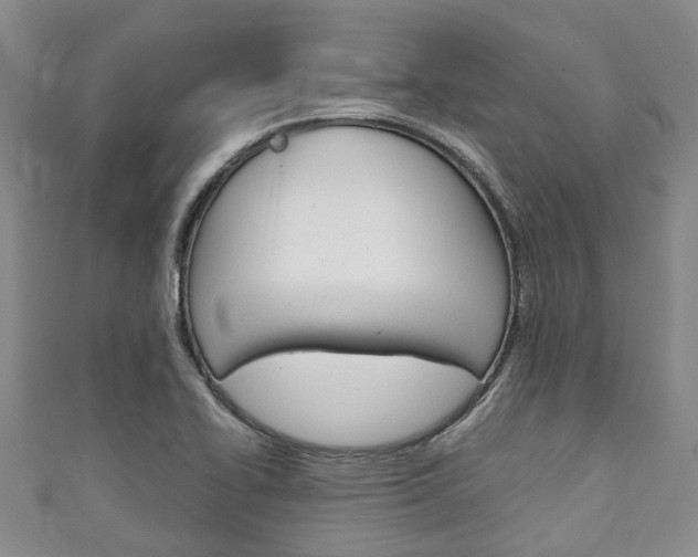 X0000111921414200907271000