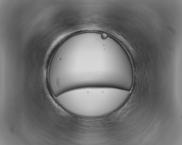 X0000111921416200907271000