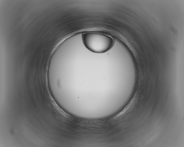 X0000111921417200907271000