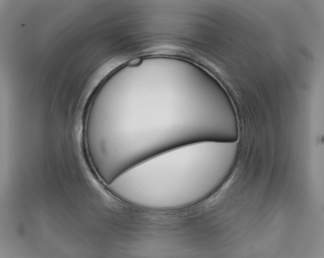 X0000111921418200907271000
