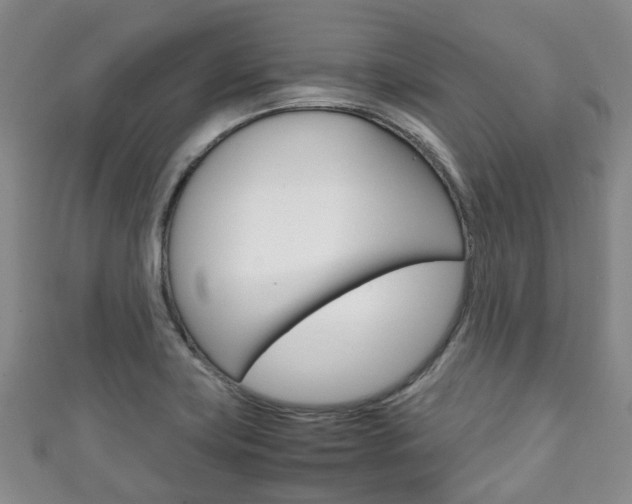 X0000111921419200907271000