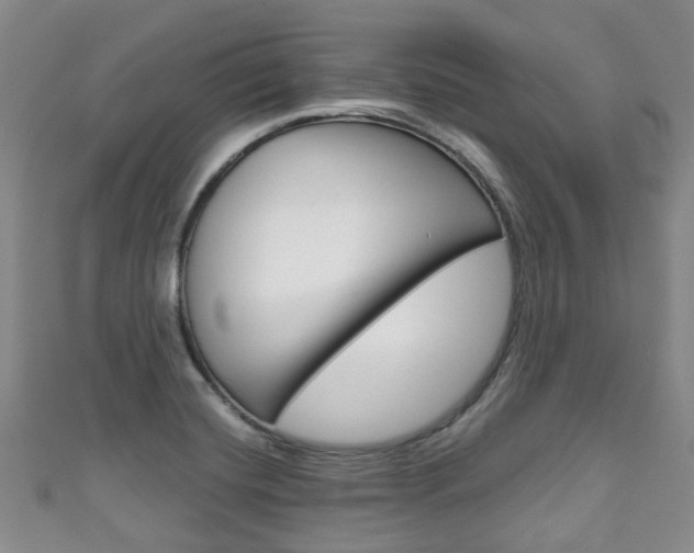 X0000111921420200907271000