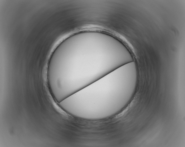 X0000111921421200907271000