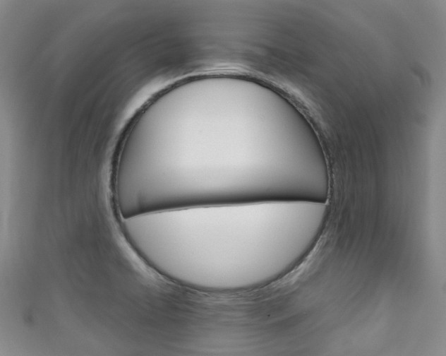 X0000111921422200907271000